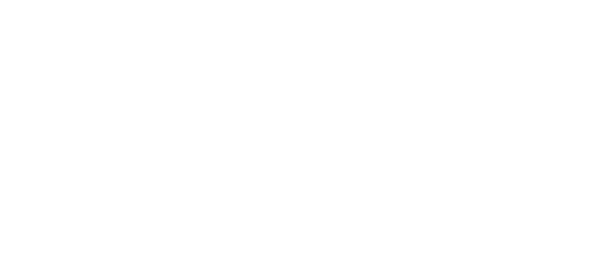 Logo CABSIN